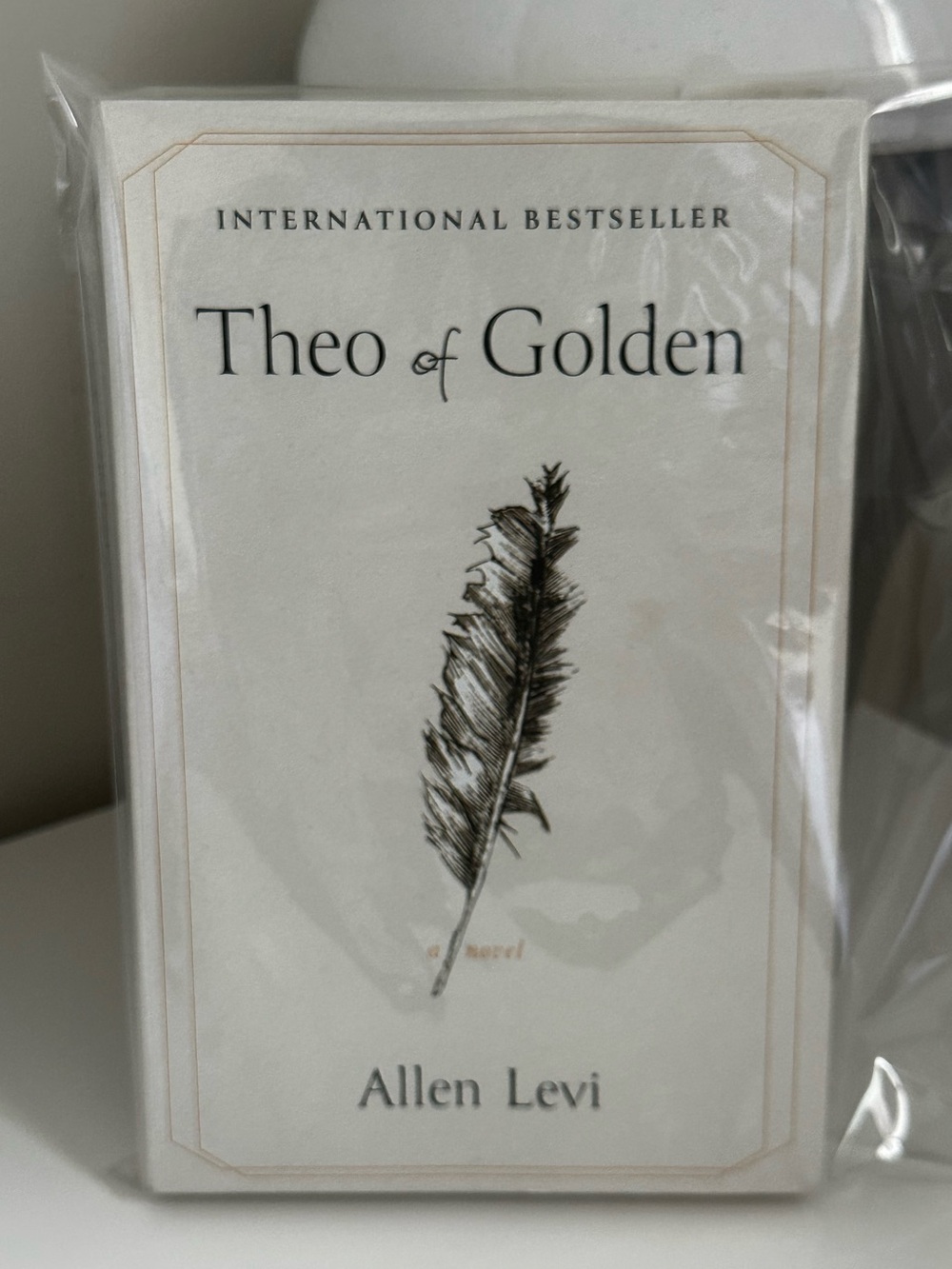 Theo of Golden: A Novel Allen Levy